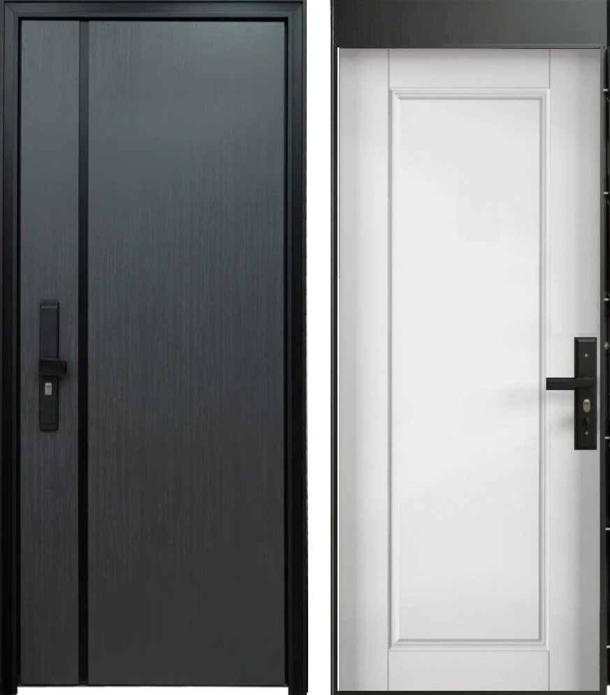 Дверь Цербер 101 DIS007201